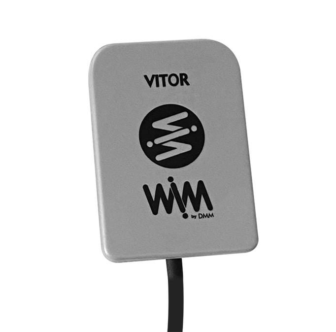 Sensor WIM Vitor